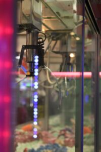 Fête Foraine - Royan