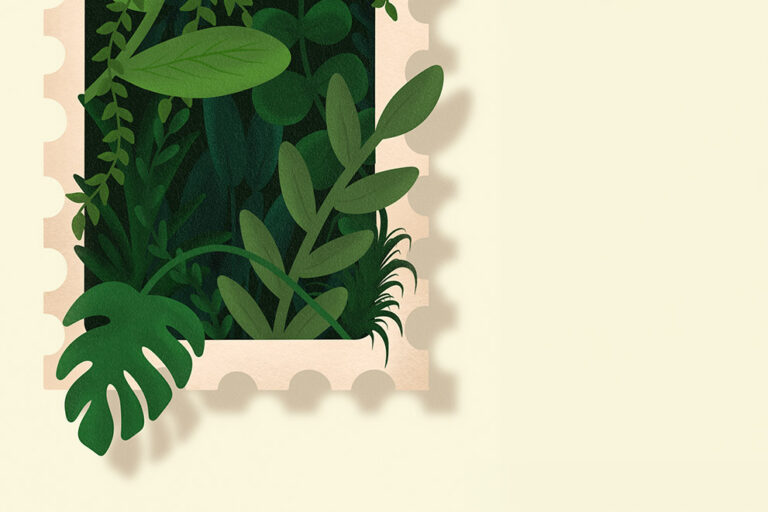 Image mise en avant article illustration