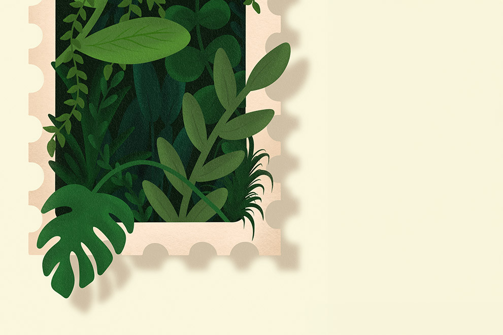 Image mise en avant article illustration