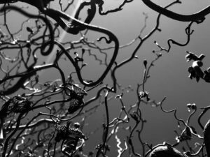 Les Jardins d'Etretat